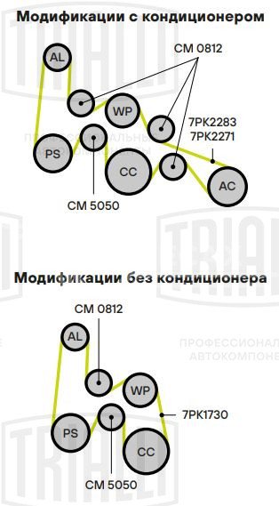 Ролик привод. ремня для автомобилей Kia Sorento (02-)/Hyundai H-1 (07-) 2.5d (с натяж. мех.) (CM 5050)