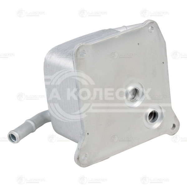 Радиатор масляный АКПП для автомобилей Лада Vesta (15-)/Nissan Juke (10-) 1.6i CVT [JF015E]
