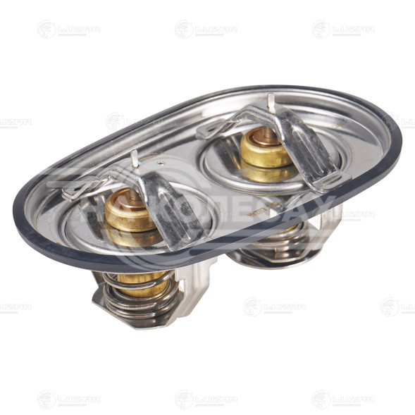 Термостат для автомобилей Scania 5 (P,G,R-series) (03-) (80/87°С) (2 термоэлемента в разных плоскостях)