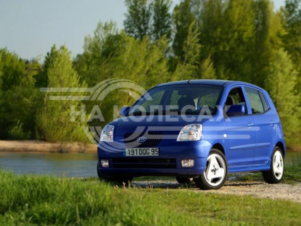 Арки задние Kia Picanto 1дорест/1рест