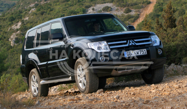 Арки задние Mitsubishi Montero 4 дорест