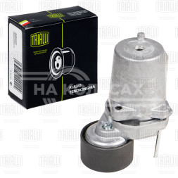 Ролик приводного ремня для автомобилей BMW X5 (E70) (06-) 2.0d/3.0d [N47; N57] (с натяжным механизмом) (29x55) (CM 5286)