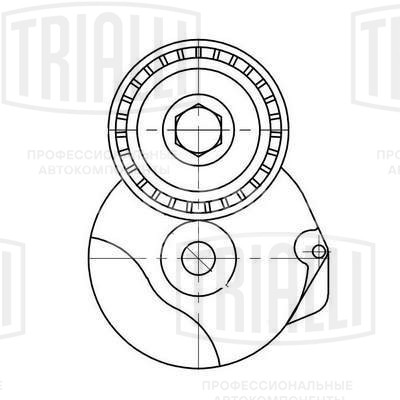 Ролик приводного ремня для автомобилей BMW X5 (E70) (06-) 2.0d/3.0d [N47; N57] (с натяжным механизмом) (29x55) (CM 5286)