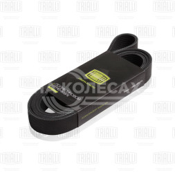 Ремень приводной для автомобилей КАМАЗ (дв. Cummins ISBe/ISDe/EQB) (8PK1230)