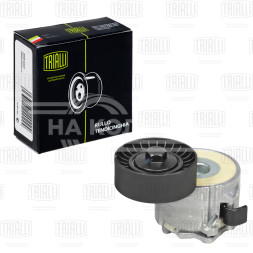 Ролик приводного ремня для автомобилей Opel Astra H (04-)/Corsa D (06-) 1.3d (с натяжным механизмом)