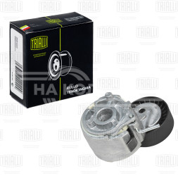 Ролик приводного ремня для автомобилей Opel Astra H (04-)/Corsa D (06-) 1.3d (с натяжным механизмом)