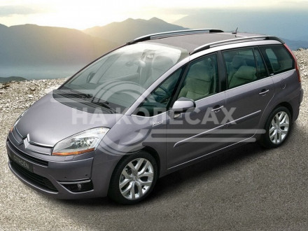 Арки задние Citroen C4 Grand Picasso 1