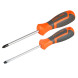Набор отверток 2 предмета (SL5х100мм,PH2х100мм), блистер