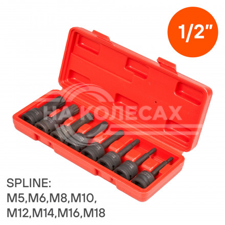Набор головок ударных 1/2&quot; 78мм внешний SPLINE 8 пр. (M5-M18) пласт. кейс