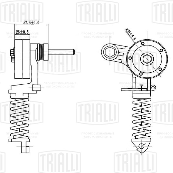 Ролик приводного ремня для автомобилей Opel Astra H (04-)/Corsa D (06-) 1.2i/1.4i (с натяжным механизмом) (CM 0508)