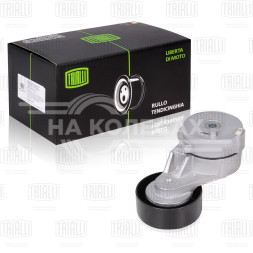 Ролик приводного ремня для автомобилей Hyundai Solaris (10-)/Kia Rio (10-) 1.4i/1.6i [Gamma] (с натяжным механизмом) (CM 0801)