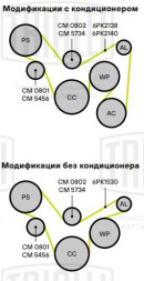 Ролик приводного ремня для автомобилей Hyundai Solaris (10-)/Kia Rio (10-) 1.4i/1.6i [Gamma] (с натяжным механизмом) (CM 0801)