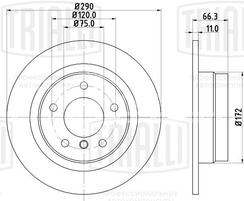 Диск тормозной для автомобилей BMW 1 (F20/F21) (11-) / 2 (F22) (13-) задний d=290