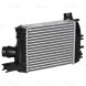 ОНВ (радиатор интеркулера) для автомобилей Duster (10-) 1.5dCi /Arkana (19-) 1.3T