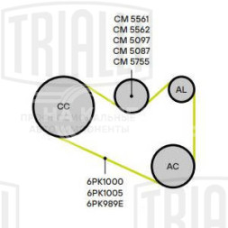 Ролик приводного ремня для автомобилей Skoda Octavia A7 (12-) 1.2TSi/1.4TSi (с натяжным механизмом)
