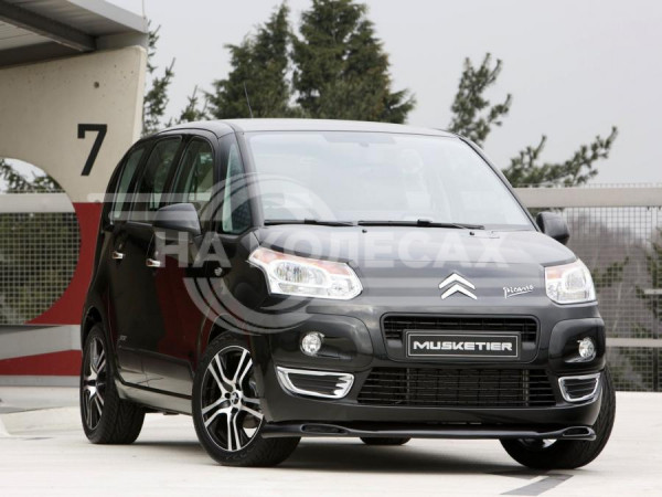Внешние ремонтные пороги Citroen C3 Picasso 1дорест/1рест