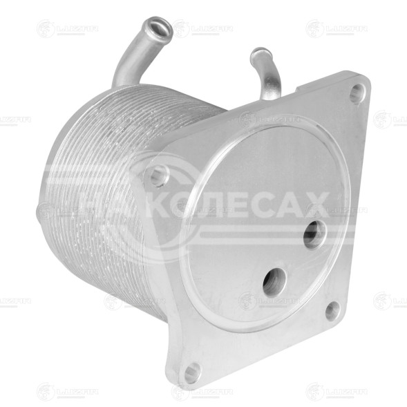 Радиатор масляный для автомобилей Nissan X-Trail T31 (07-) 2.0i 4WD