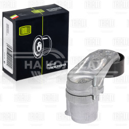 Ролик привод. ремня для автомобилей BMW X5 E70 (06-) 3.0i (с натяж. мех.) (CM 5144)