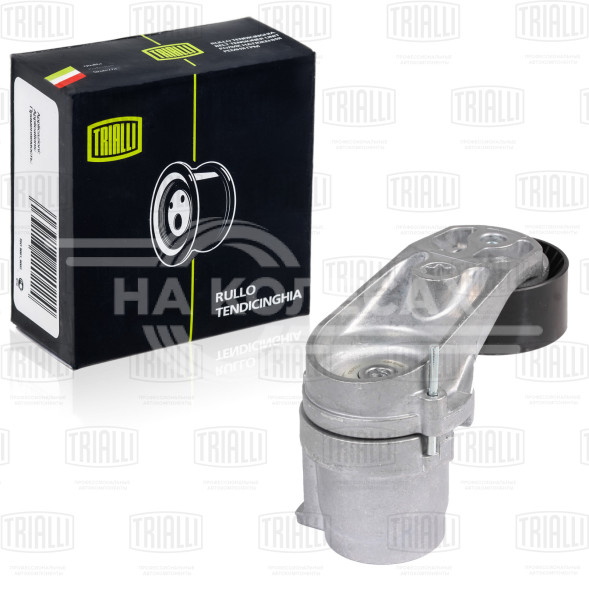 Ролик привод. ремня для автомобилей BMW X5 E70 (06-) 3.0i (с натяж. мех.) (CM 5144)