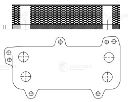 Радиатор масляный для автомобилей Transporter (03-)/Touareg (03-) 2.5D