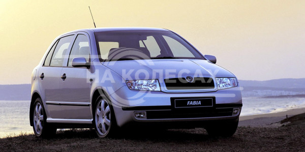 Передние арки Skoda Fabia 1дорест/1рест