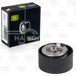 Ролик ГРМ для автомобилей Renault Duster (10-) 2.0i (натяж.) (CM 0941)