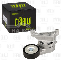 Ролик привод. ремня для автомобилей VW Passat (05-) 1.9d/2.0d [EA180] (с натяж. мех.) (CM 5107)