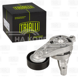 Ролик привод. ремня для автомобилей VW Passat (05-) 1.9d/2.0d [EA180] (с натяж. мех.) (CM 5107)