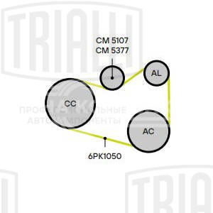 Ролик привод. ремня для автомобилей VW Passat (05-) 1.9d/2.0d [EA180] (с натяж. мех.) (CM 5107)