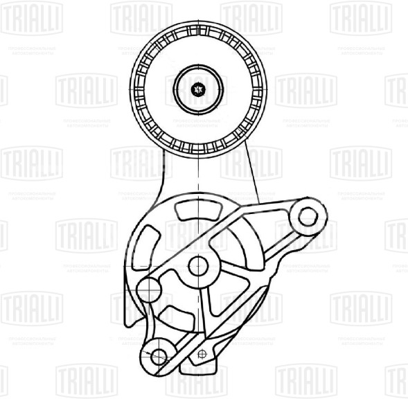 Ролик привод. ремня для автомобилей VW Passat (05-) 1.9d/2.0d [EA180] (с натяж. мех.) (CM 5107)