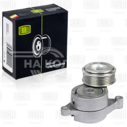 Ролик привод. ремня для автомобилей Mazda 3 (08-) 1.6i MZR (с натяж. мех.) (CM 5153)