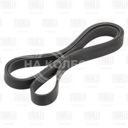 Ремень приводной для автомобилей Toyota Rav 4 (00-)/Rav 4 (06-) 2.0i/2.4i [AZ]
