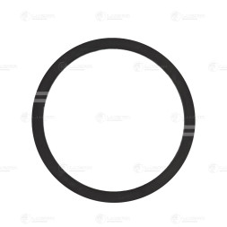 Прокладка термостата для автомобилей Daewoo Nexia (94-)/Chevrolet Lanos (97-)