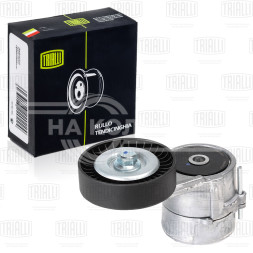 Ролик привод. ремня для автомобилей Opel Astra G (98-) 1.4i/1.6i/1.8i (с натяж. мех.) (CM 2107)