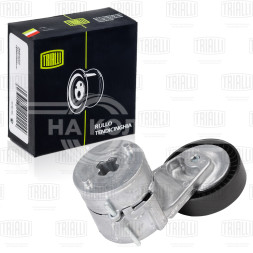 Ролик привод. ремня для автомобилей Opel Astra G (98-) 1.4i/1.6i/1.8i (с натяж. мех.) (CM 2107)