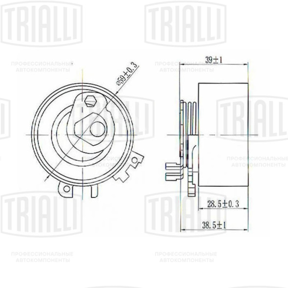 Ролик ГРМ для автомобилей Renault Clio (98-) 1.2i (натяж.) (CM 6120)