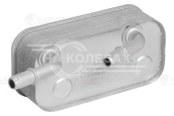 Радиатор масляный для автомобилей BMW 3 (E46) (98-) 1.6i/1.8i/2.0i/2.5i 1.8D/2.0D