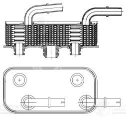 Радиатор масляный для автомобилей BMW 3 (E46) (98-) 1.6i/1.8i/2.0i/2.5i 1.8D/2.0D