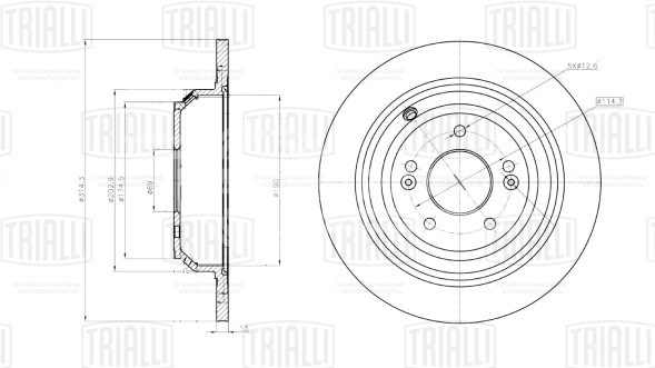 Диск тормозной задний для автомобилей Genesis G80 (16-) / Kia Quoris (12-) d=314 окрашенный