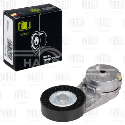 Ролик привод. ремня для автомобилей Opel Vectra C (02-) 2.0i/2.2i (с натяж. мех.) (CM 5318)