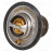 Термостат для автомобилей Chevrolet Captiva (11-)/Opel Antara (10-) 2.2D (82°С) (термоэлемент)