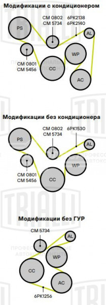 Ролик привод. ремня для автомобилей Hyundai Solaris (10-)/Kia Rio (10-) 1.4i/1.6i [Gamma] опорный (CM 0802)