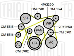 Ролик привод. ремня для автомобилей Toyota Land Cruiser 200 (07-) 4.5d [VD] (натяжной) ремня висконагревателя (CM 5124)