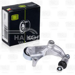 Ролик приводного ремня для автомобилей Honda Civic (06-)/Accord (08-) 1.8i/2.0i [R18; R20] (с натяжным механизмом) (CM 2305)