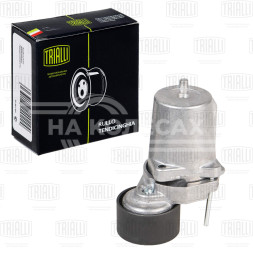 Ролик приводного ремня для автомобилей BMW X5 E70 (06-) 2.0d/3.0d [N47; N57] Dinamic Drive с натяжным механизмом