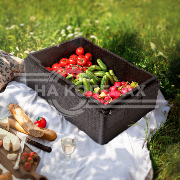 Термоконтейнер с крышкой 46 л, 600*400*320мм, ВПП, цвет черный