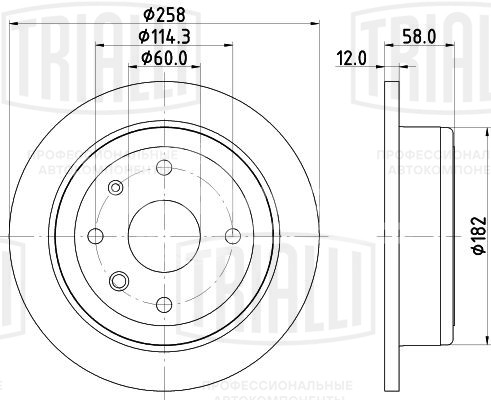 Диск тормозной задний для автомобилей Chevrolet Evanda (04-) / Daewoo Magnus (99-) d=258