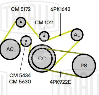 Ролик привод. ремня для автомобилей Ford Transit (00-)/Transit (06-)/Transit (13-)/Peugeot Boxer (06-)/Citroen Jumper (06-) 2.0TDCi/2.2TDCi (опорный) гладкий (25x65) (CM 1011)