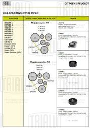 Ролик приводного ремня для автомобилей Peugeot 406 (99-)/407 (04-)/307 (00-)/Citroen C5 (01-) 1.8i/2.0i/2.2i [EW7J, EW10J, EW12J] (с натяжным механизмом)