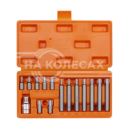 Набор бит вставок TORX 3/8&quot; 30мм и 75мм с держателем бит 1/2&quot; DR 15 предметов в кейсе